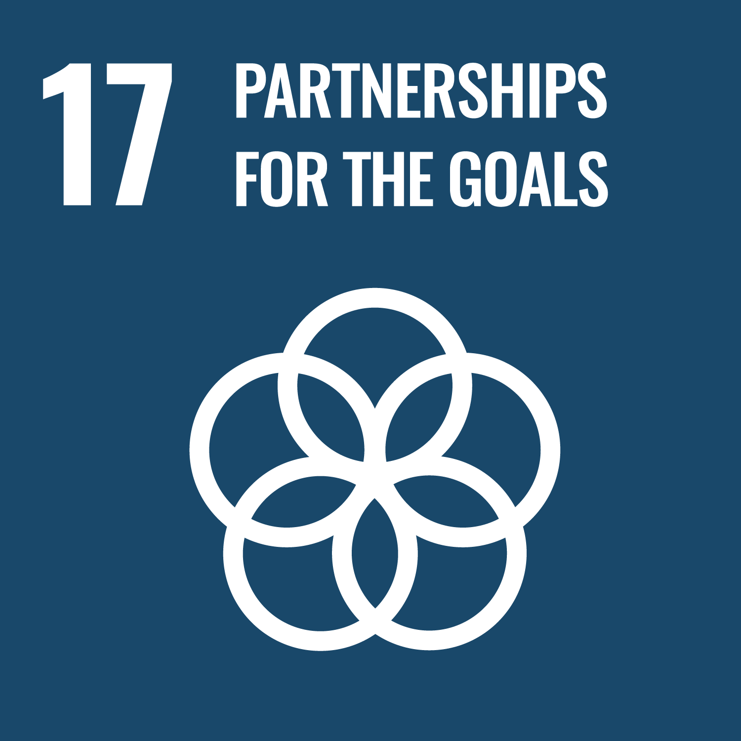 Global Goal 17: Partnerships for the Goals