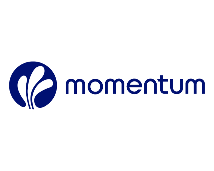 Momentum
